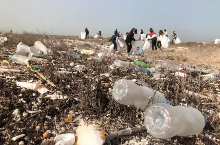 Al Yousufiya Beach Cleanup 
